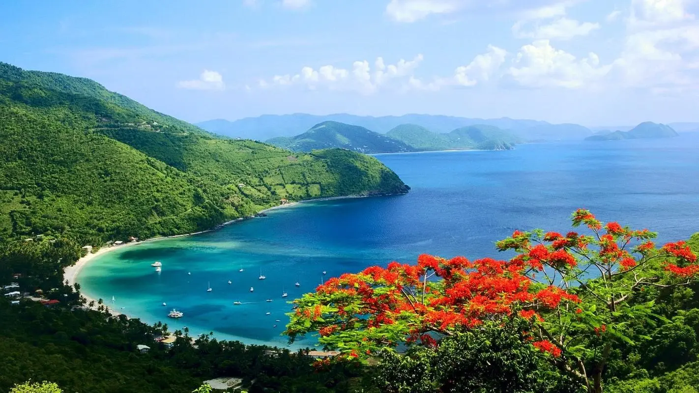 创新可靠性可靠性